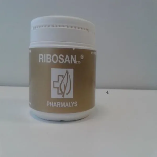 Ribosan 310 g polvo Pharmalys